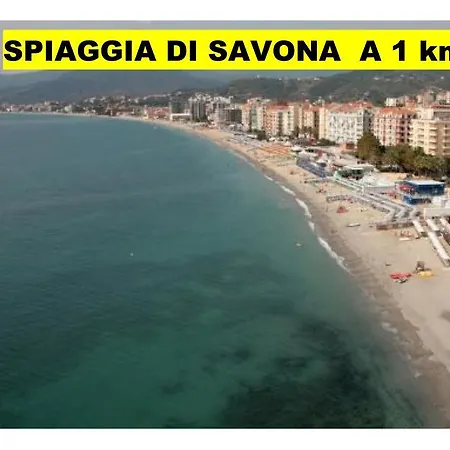 Happy Savona